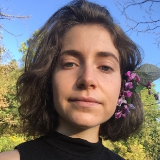 Lily  Herold 
